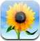 Photos app icon